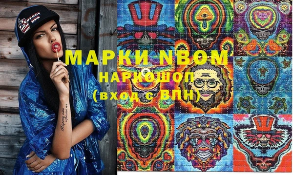 индика Видное