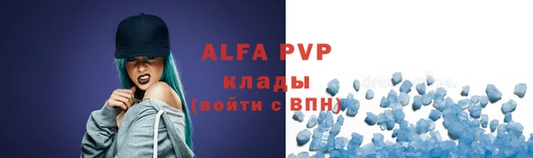 PSILOCYBIN Ветлуга