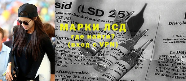 индика Видное