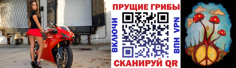 Галлюциногенные грибы GOLDEN TEACHER  наркошоп  Семёнов 